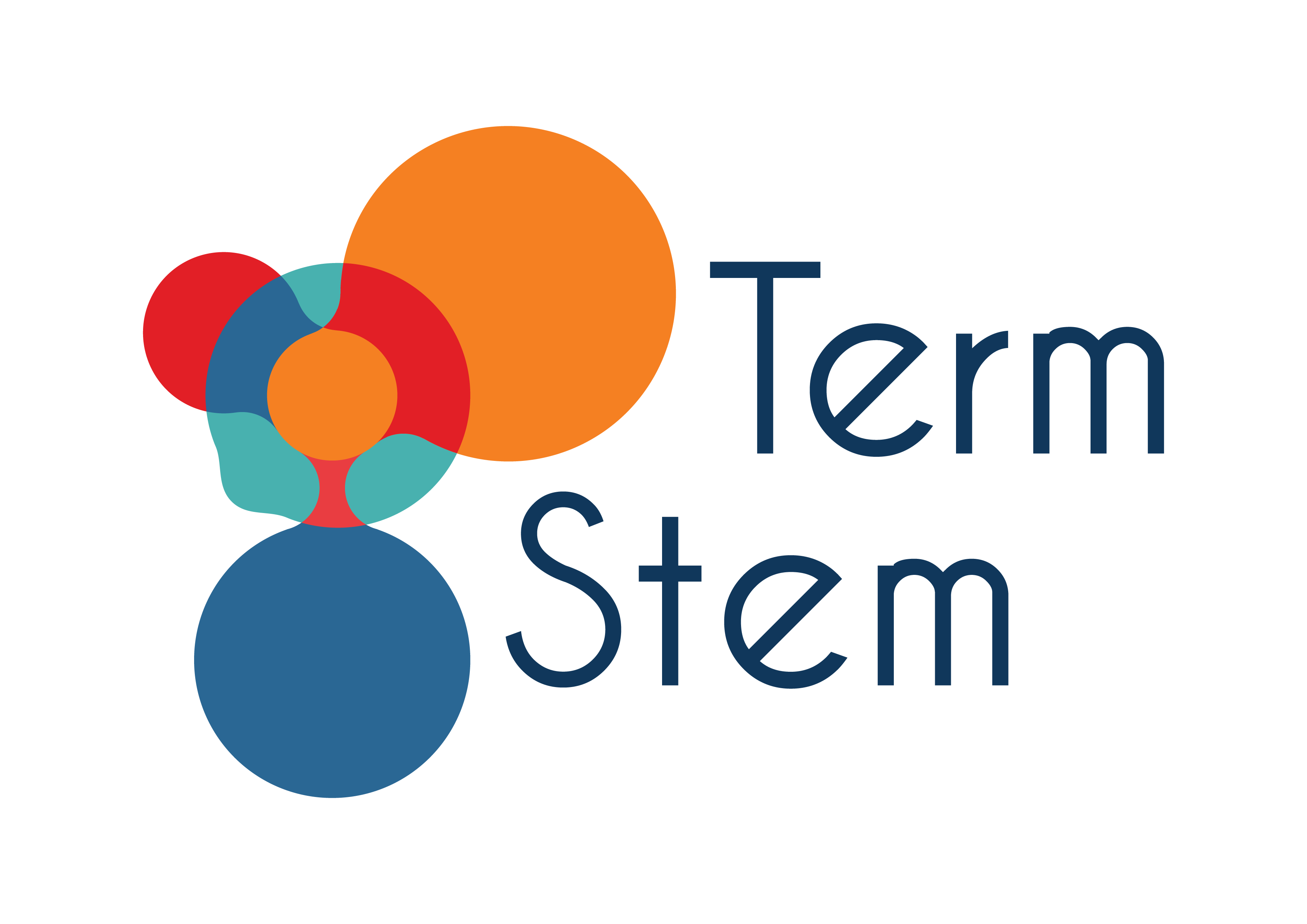 Term Stem logo
